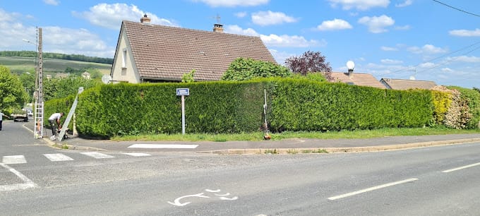 2023-05-19 Taille des Haies - Besson Moreau