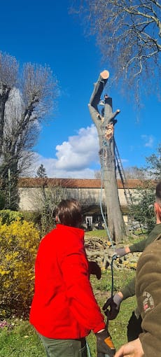 Abattage d'arbre - Besson Moreau